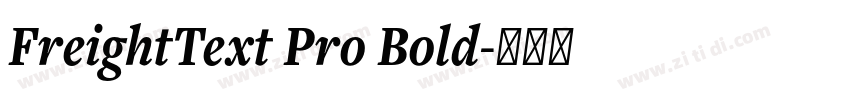 FreightText Pro Bold字体转换